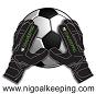 NI Goalkeeping - Home of Northern Ireland Goalkeeping